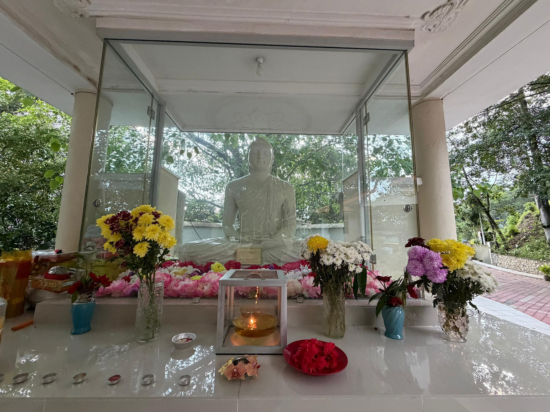 Ti-Ratana Heights Bodhi Tree, Dec 2025. Photo by Rain Lee Lin Jun.
