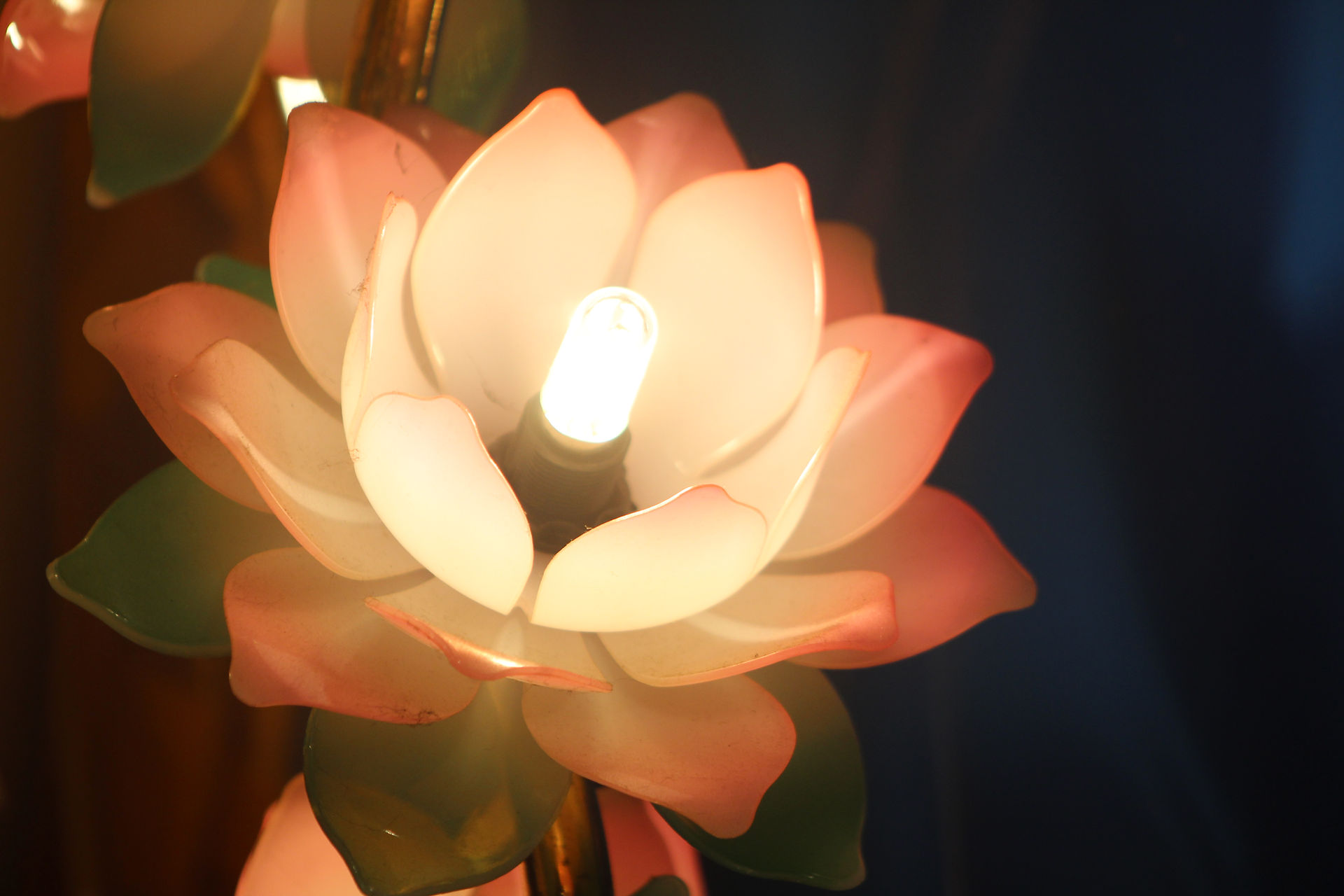 Ti-Ratana Lumbini Garden Lotus LED Lamp, 2021. Photo by Rain Lee.